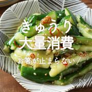 「きゅうり大量消費」20選｜お箸が止まらない