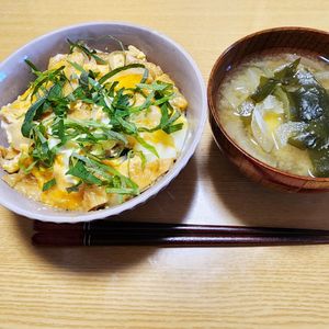ナムディの作ってみた!投稿(地味ウマ！油揚げ丼)