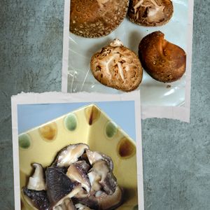 ゆみの作ってみた!投稿(生しいたけの含め煮)
