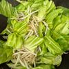 回鍋肉風《もやしとキャベツのにんにく味噌炒め》の工程2
