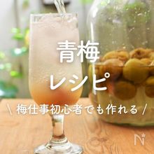 「青梅」レシピ30選｜梅仕事初心者でも作れる