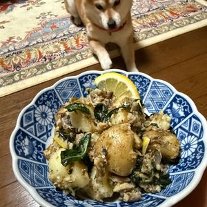 レイチーの作ってみた!投稿(オールサーディンと新じゃがのホットサラダ)