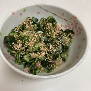 みっちゃんの作ってみた!投稿(簡単！和えるだけ【きゅうりとわかめのやみつきツナサラダ】)