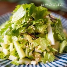 一口食べれば止まらない♡5分で『セロリのごま油と塩昆布和え』