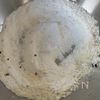 さくっ!甘〜い!味見が止まらない!【とうもろこしのフリット】の工程1