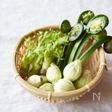 山菜の下処理の方法