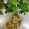 そら・ゆずの作ってみた!投稿(レンジで味しみ中華風春雨サラダ│切るもの少なめ火も使わない♪)