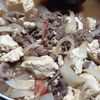 736540の作ってみた!投稿(【トマト肉豆腐】夏の短時間煮物)