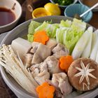 本当に美味しい水炊き｜何度も作りたい定番レシピVol.176