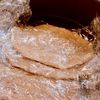 やわらかしょうが焼き【箸ですっと切れる】(介護食)の工程3