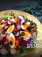 カラフルサラダ　Dish No.001 7colors