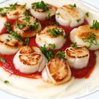 帆立ソテーの紅白ソース《シンプルが美味しい》