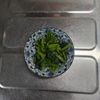 KUMIKOの作ってみた!投稿(小松菜の辛子じょうゆあえ)