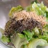 無限レタスの工程3