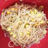 milkの作ってみた!投稿(いくらでも食べられる♡豆もやしの旨だしごまレモン)