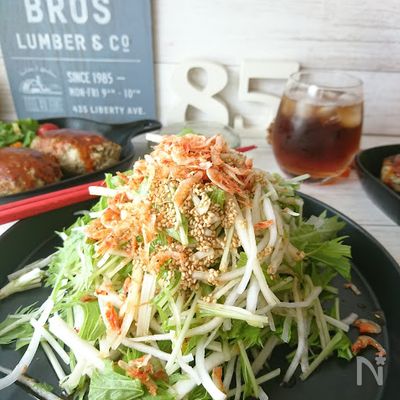 パリパリ!水菜と大根のサラダ