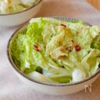 【やみつき♪塩だれちぎり白菜】ビールのおともに大活躍！