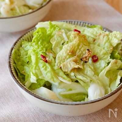 【やみつき♪塩だれちぎり白菜】ビールのおともに大活躍!