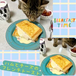 のりのり🐾🎀🤍の作ってみた!投稿(ハムとチーズのフレンチトーストサンド☆ホットサンドメーカー)