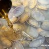 ゆず香る！アサリが主役の和風ラーメンの工程7