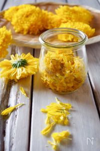 秋の味覚【菊の甘酢漬け】食用菊の活用術