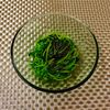 りんの作ってみた!投稿(【豆苗塩昆布炒め】炒め時間1分!超速攻で無限に食べられる✨)