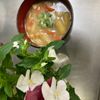 そら・ゆずの作ってみた!投稿(納豆好きにはたまらない♡『とろっと美味しい☆納豆汁』)