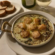 ホタテの白ワインクリームソース