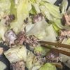 水漬けで作る💛時短♪サバ缶とキャベツの醤油オイルパスタの工程3