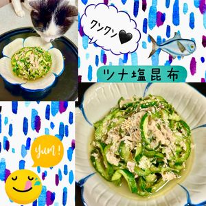 のりのり🐾🎀🤍の作ってみた!投稿(無限レシピ♪『ツナ塩昆布 de やみつき！おつまみきゅうり』)