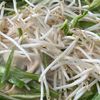 しっとり柔らか♪【鶏むね肉ともやしのうま塩炒め】の工程2