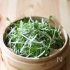 もやしと豆苗のナムルの工程3
