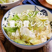 「キャベツの大量消費レシピ」20選｜簡単やみつき♪