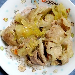 猫の作ってみた!投稿(ほったらかしで絶品！蒸し焼きで作る【豚肉と玉ねぎの照り丼】)