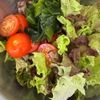 タレが最高《豆腐たっぷり♡チョレギサラダ風》の下準備