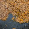 牛そぼろ・トマト風味（ミートソース）の工程4