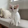 ゆっちゃん