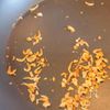 簡単おぼろ豆腐風の工程1
