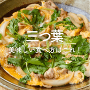 三つ葉の人気レシピ｜おひたしや卵とじ、お吸い物や味噌汁に！