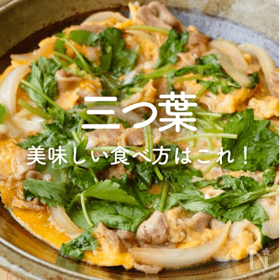 三つ葉の人気レシピ｜おひたしや卵とじ、お吸い物や味噌汁に！