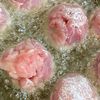 コスパもボリュームも抜群っ♪豚こまボールとなすの揚げ浸し★の工程4