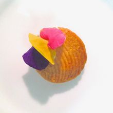 ワイン用サブレサレ(塩味のクッキー)