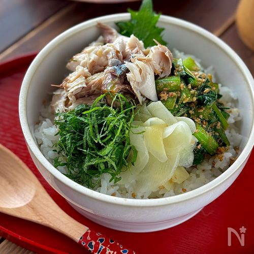 薬味たっぷり塩サバほぐし丼