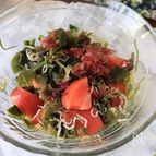 紫蘇香る　海藻とトマトのサラダ