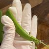 【一瞬で無くなる!】簡単レンチン♪スナップえんどうナムルの下準備