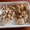 【たっぷりきのこと蓮根のきんぴら】シャキッとヘルシー常備菜♪の工程1