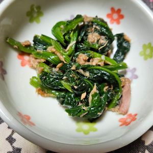 MOMOKOの作ってみた!投稿(3分副菜♡『ほうれん草のツナおかか和え』子供も喜ぶ♪)