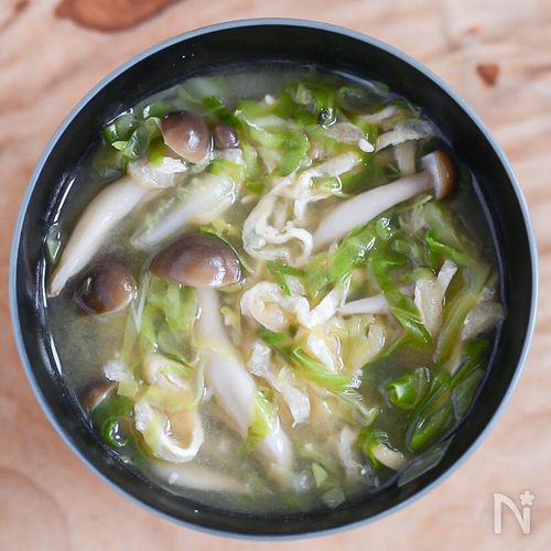 外側の葉でもOK!春キャベツとしめじのおみそ汁