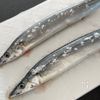 魚屋さんに教わった【さんまの塩焼き】の工程1