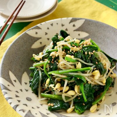 レンジで作る*ほうれん草と豆もやしのナムル